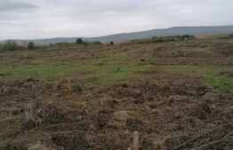 Teren de 750 mp, Ciurea-Chihan