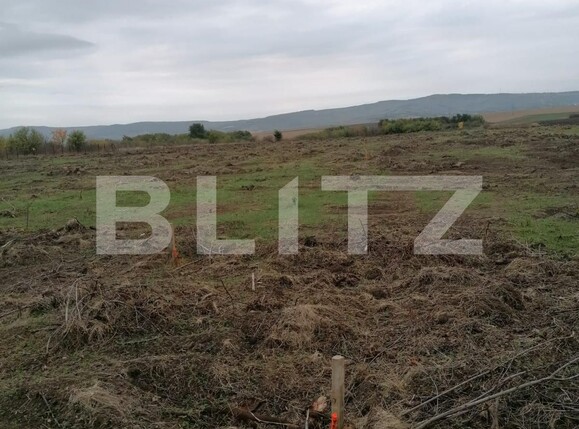 Teren de vânzare Ciurea - 100476TV | BLITZ Iași | Poza1