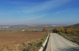 Teren extravilan 5000 mp, Uricani