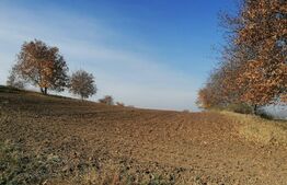 Teren extravilan 5000 mp, Uricani