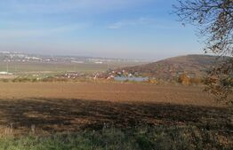 Teren extravilan 5000 mp, Uricani