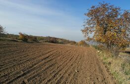 Teren extravilan 5000 mp, Uricani