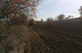 Teren extravilan 5000 mp, Uricani