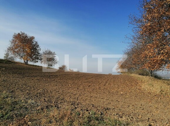 Teren de vânzare Vest - 100719TV | BLITZ Iași | Poza5