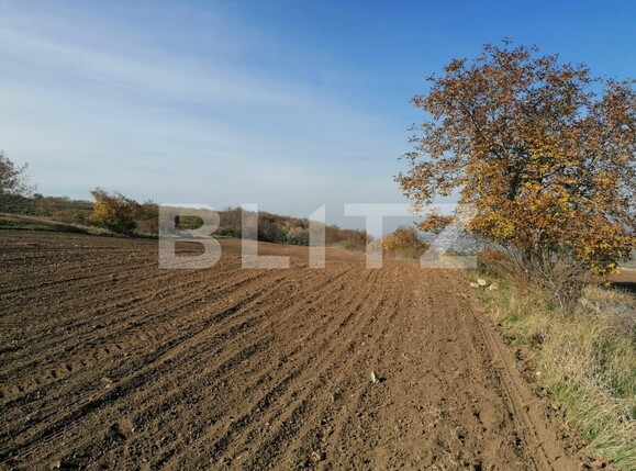 Teren de vânzare Vest - 100719TV | BLITZ Iași | Poza2