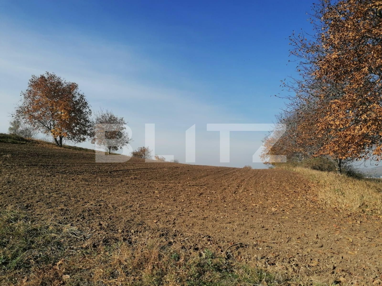 Teren de vânzare Vest - 100719TV | BLITZ Iași | Poza5