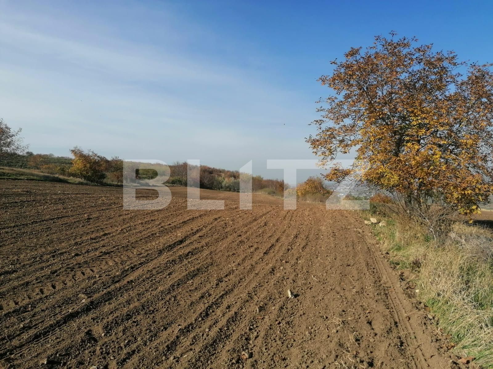 Teren de vânzare Vest - 100719TV | BLITZ Iași | Poza2