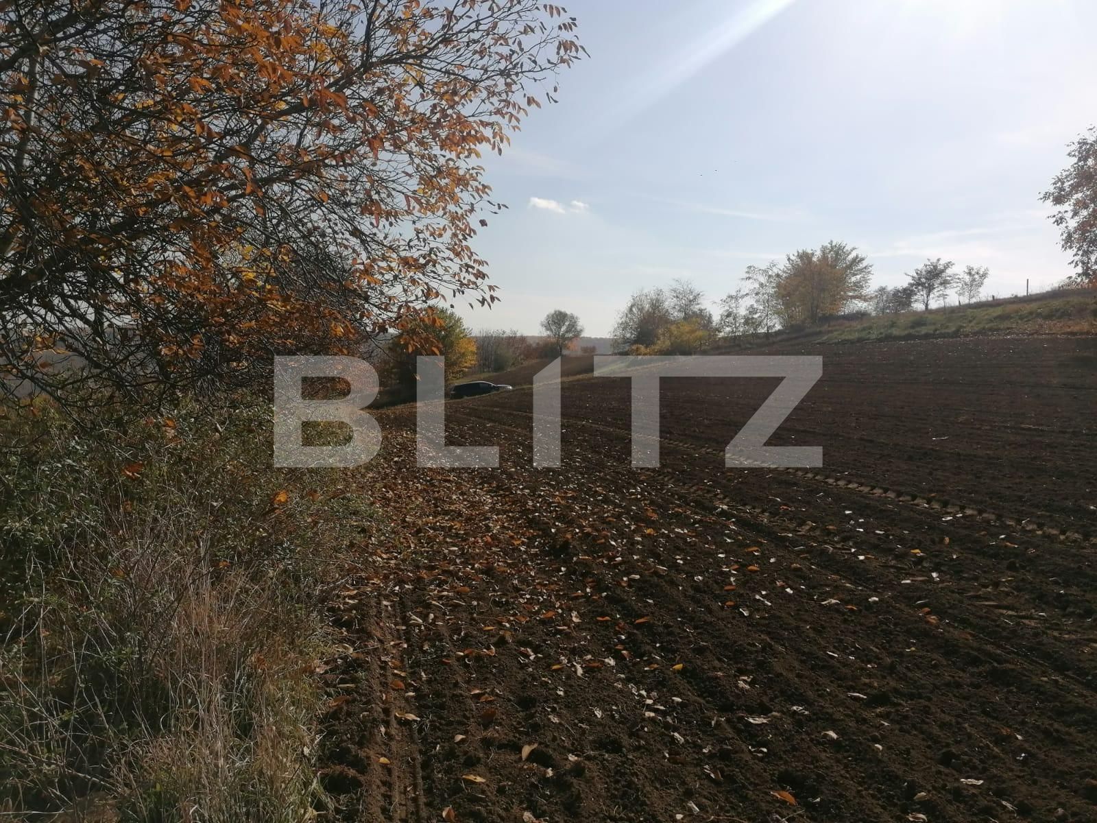 Teren de vânzare Vest - 100719TV | BLITZ Iași | Poza4