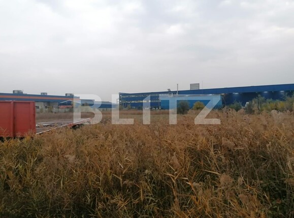 Teren de vânzare Valea Lupului - 100721TV | BLITZ Iași | Poza1