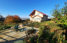 Oportunitate! Casa 6 camere,1000 mp teren, Barnova,la asfalt