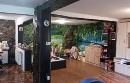  Casa plan parter, 3 camere, 400 mp teren, zona Palas Mall