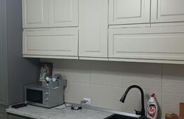 Vila de 5 camere, 160 mp utili, 438 mp teren, Copou