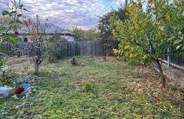 Casa 3 camere, 100 mp, 750 mp teren, Valea Lupului