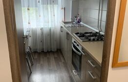 Apartament 2 camere, 55 mp, Podul de Piatra 