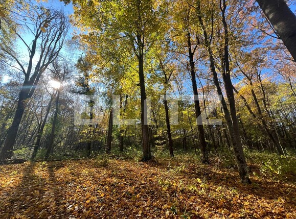 Teren de vânzare Ciric - 100871TV | BLITZ Iași | Poza1