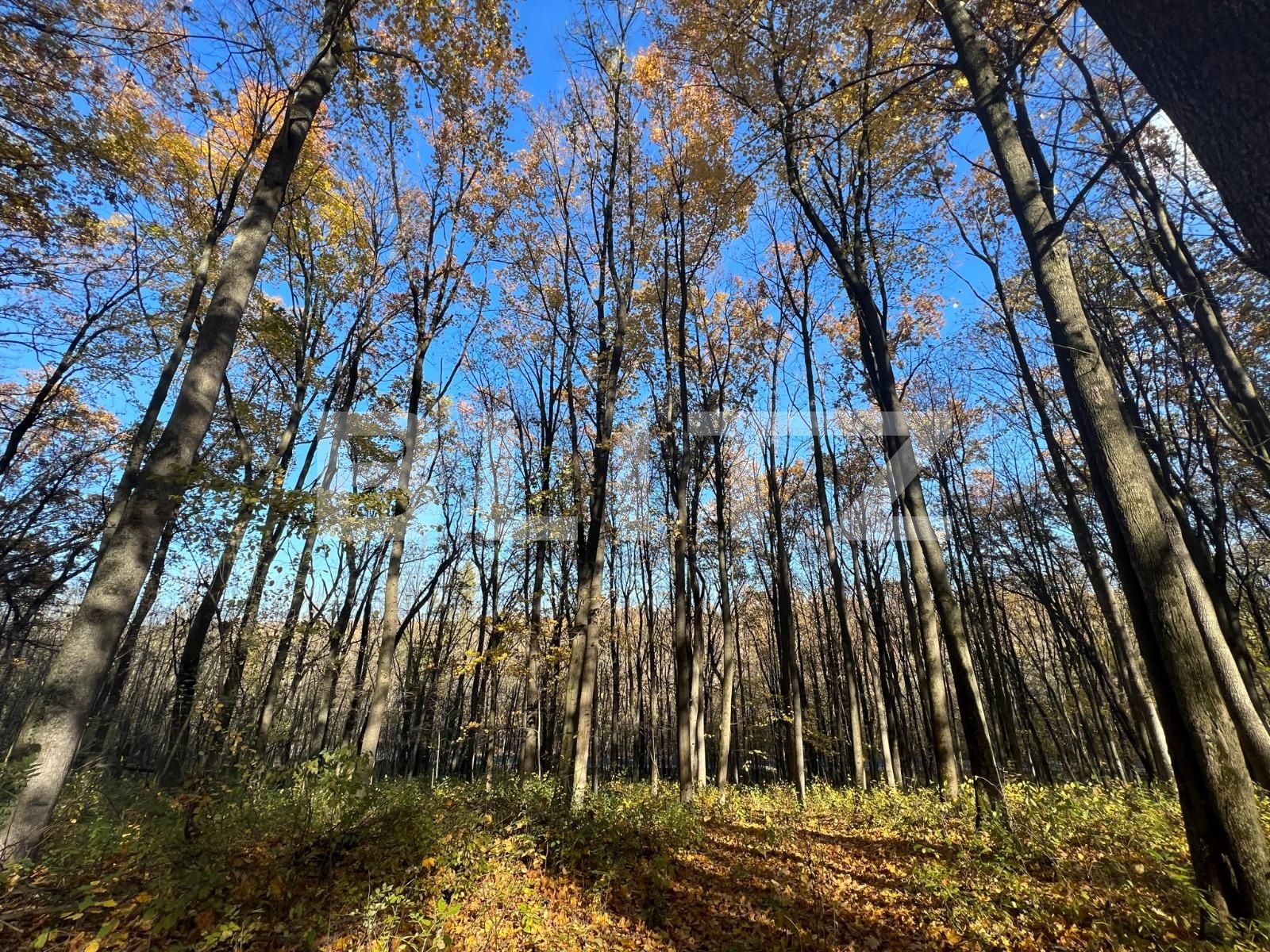 Teren de vânzare Ciric - 100871TV | BLITZ Iași | Poza3