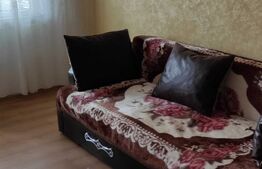 Apartament de 2 camere, 42 mp, semidecomandat, Mircea cel Batran