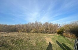 Teren extravilan 3000 mp, priveliste unica, padure, Rediu