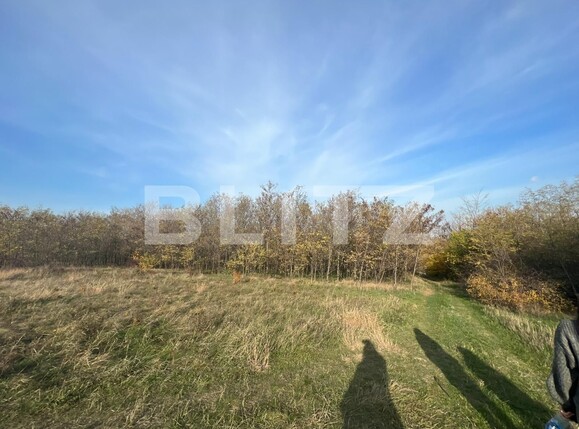 Teren de vânzare Rediu - 100913TV | BLITZ Iași | Poza1