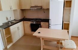 Apartament de 2 camere, 45mp, zona Tatarasi