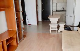 Apartament de 2 camere, 45mp, zona Tatarasi