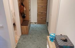 Apartament cu 2 camere, 40 mp, decomandat, demisol, Valea Adanca