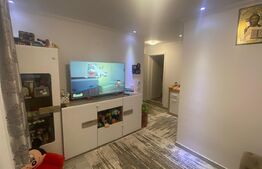 Apartament cu 2 camere, 40 mp, decomandat, demisol, Valea Adanca