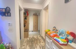 Apartament cu 2 camere, 40 mp, decomandat, demisol, Valea Adanca