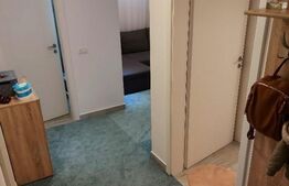 Apartament cu 2 camere, 40 mp, decomandat, demisol, Valea Adanca