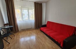 Garsoniera de 22 mp, mobilata si utilata, etaj intermediar, Pacurari