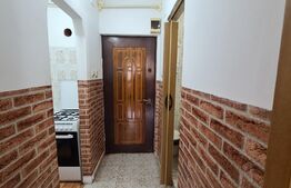 Garsoniera de 22 mp, mobilata si utilata, etaj intermediar, Pacurari