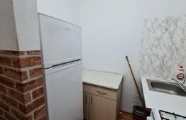 Garsoniera de 22 mp, mobilata si utilata, etaj intermediar, Pacurari