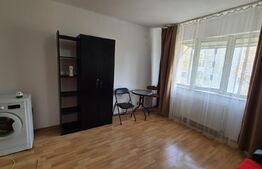 Garsoniera de 22 mp, mobilata si utilata, etaj intermediar, Pacurari