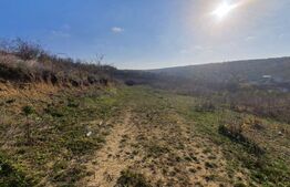 Teren intravilan 2000 mp, Visani