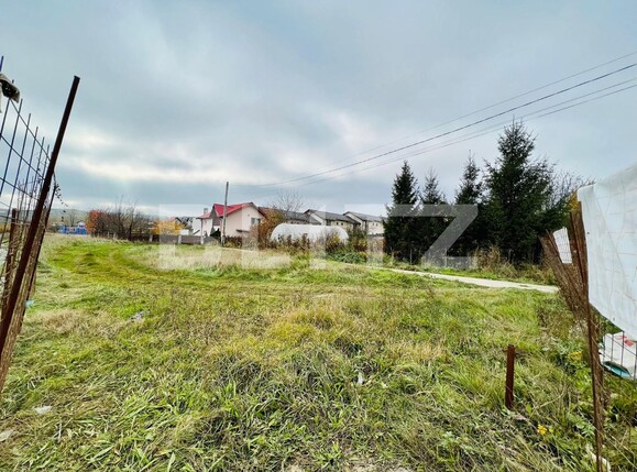 Spațiu industrial de închiriat Visani - 101818SII | BLITZ Iași | Poza3