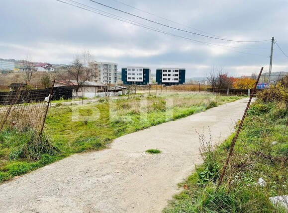 Spațiu industrial de închiriat Visani - 101818SII | BLITZ Iași | Poza4