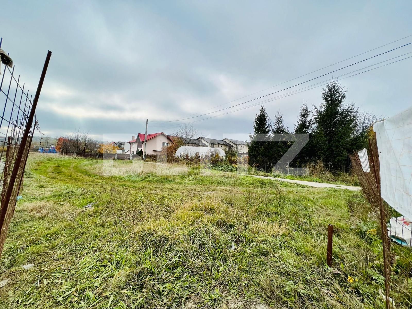 Spațiu industrial de închiriat Visani - 101818SII | BLITZ Iași | Poza3