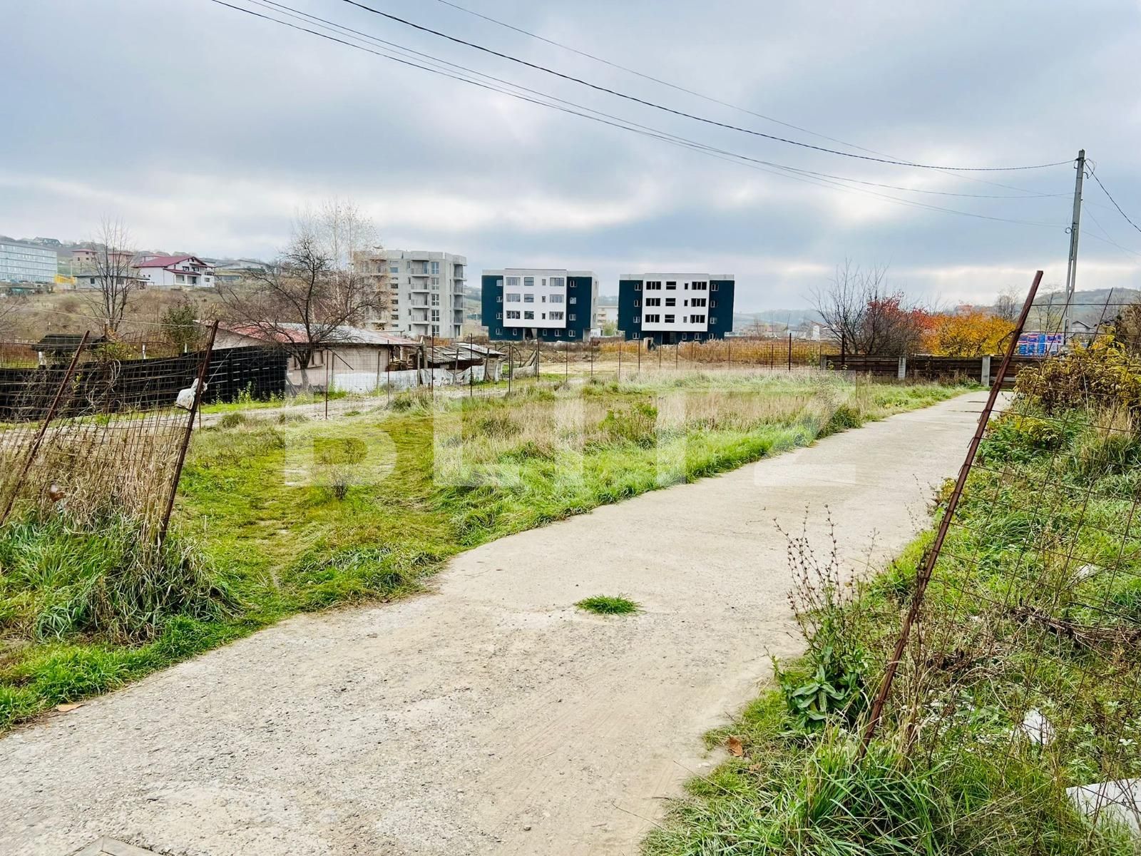 Spațiu industrial de închiriat Visani - 101818SII | BLITZ Iași | Poza4