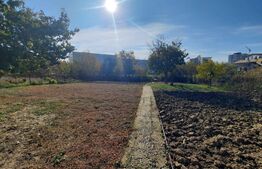 Ultracentral 2181 mp, front 55 ml, constructie blocuri, Palas