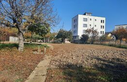 Ultracentral 2181 mp, front 55 ml, constructie blocuri, Palas