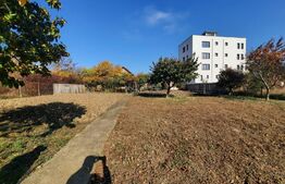 Ultracentral 2181 mp, front 55 ml, constructie blocuri, Palas