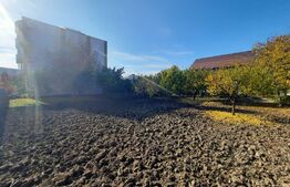 Ultracentral 2181 mp, front 55 ml, constructie blocuri, Palas