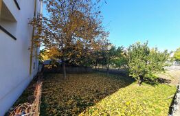 Ultracentral 2181 mp, front 55 ml, constructie blocuri, Palas