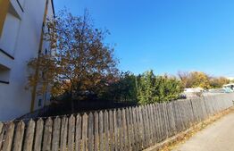 Ultracentral 2181 mp, front 55 ml, constructie blocuri, Palas