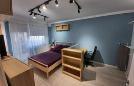 Garsoniera 33 mp, Moara de Vant