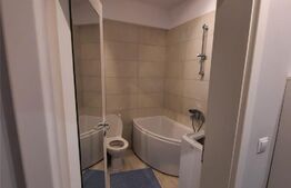 Garsoniera 33 mp, Moara de Vant