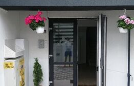 Garsoniera 40 mp, Strugurilor