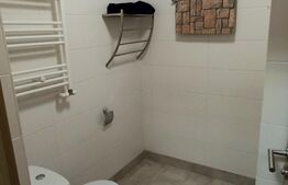 Garsoniera, 20 mp, Pacurari