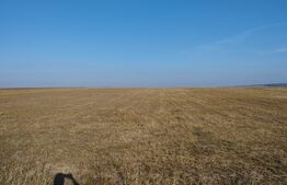 Teren 10 ha compact, deschidere 140ml la drum, Schitu-Duca