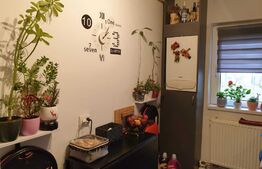 Apartament 2 camere, 42 mp, Bularga